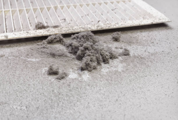 Best Dryer Vent Cleaning Services  in Clarksville, TX